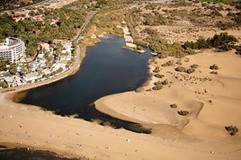 Prueba AMP - mapa ine