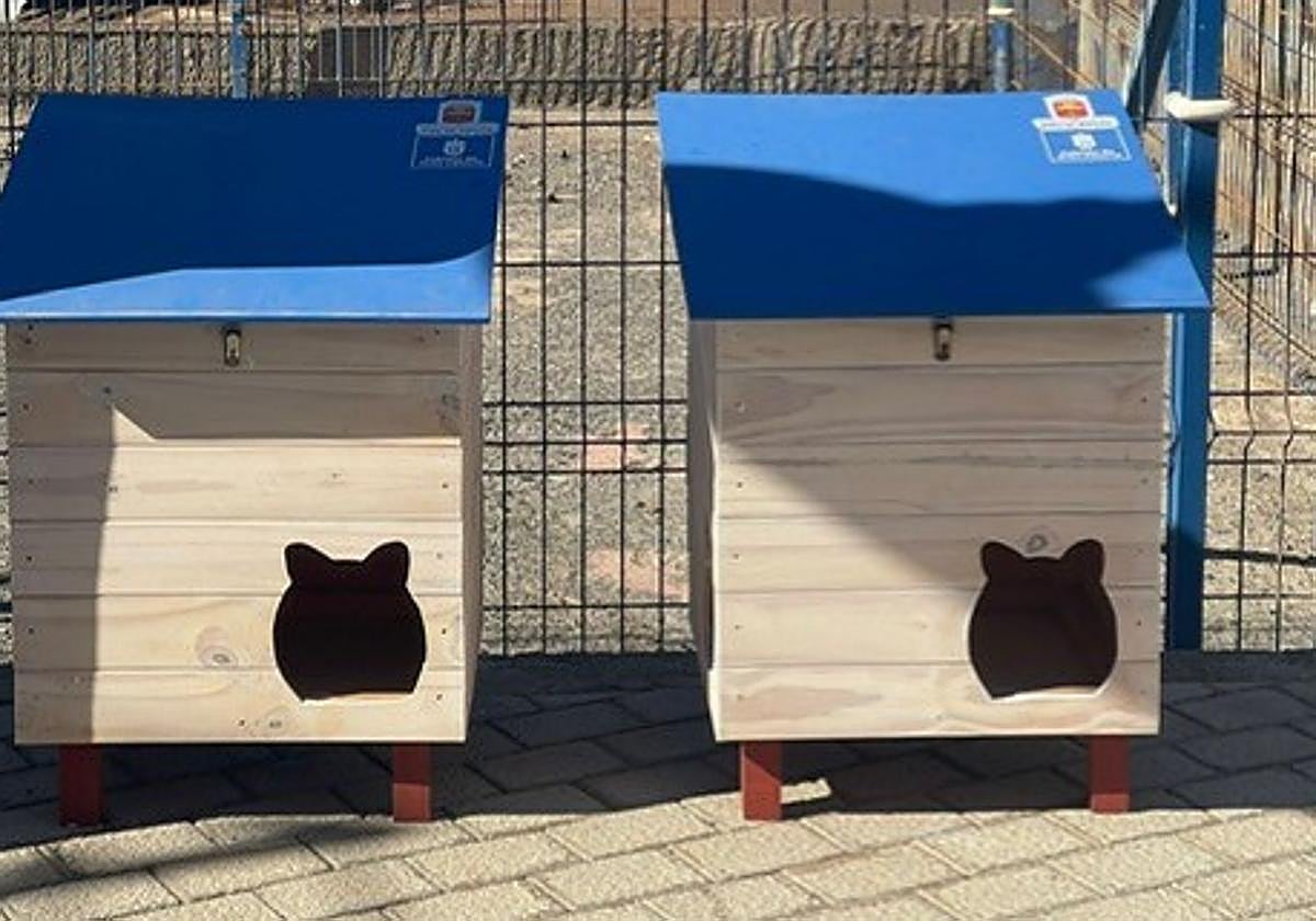 Nuevos refugios para gatos en Agaete.
