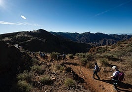 La segunda edición de 'Vamos Pa'l Pino' transcurre por senderos de ensueño, con destino Teror. En la imagen, la Degollada de las Palomas.