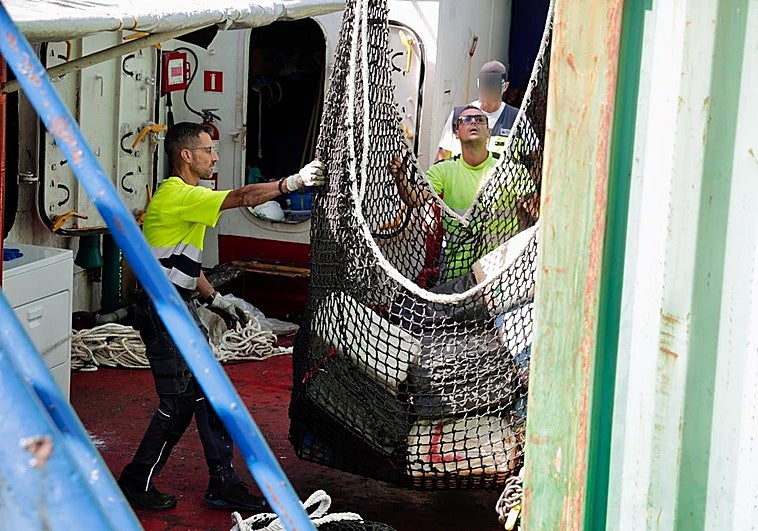 Imagen del momento del desembarco en el puerto de Arinaga.