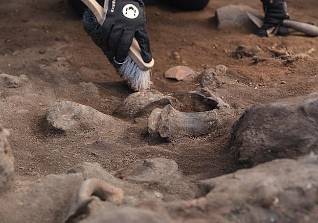 Restos de cerámica de manufactura romana afloran en el yacimiento de Lobos.