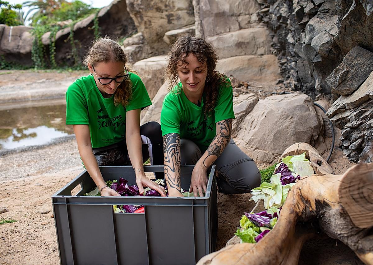 Imagen secundaria 1 - Algunos momentos del trabajo cotidiano durante el campamento.