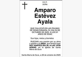 Amparo Estévez Ayala