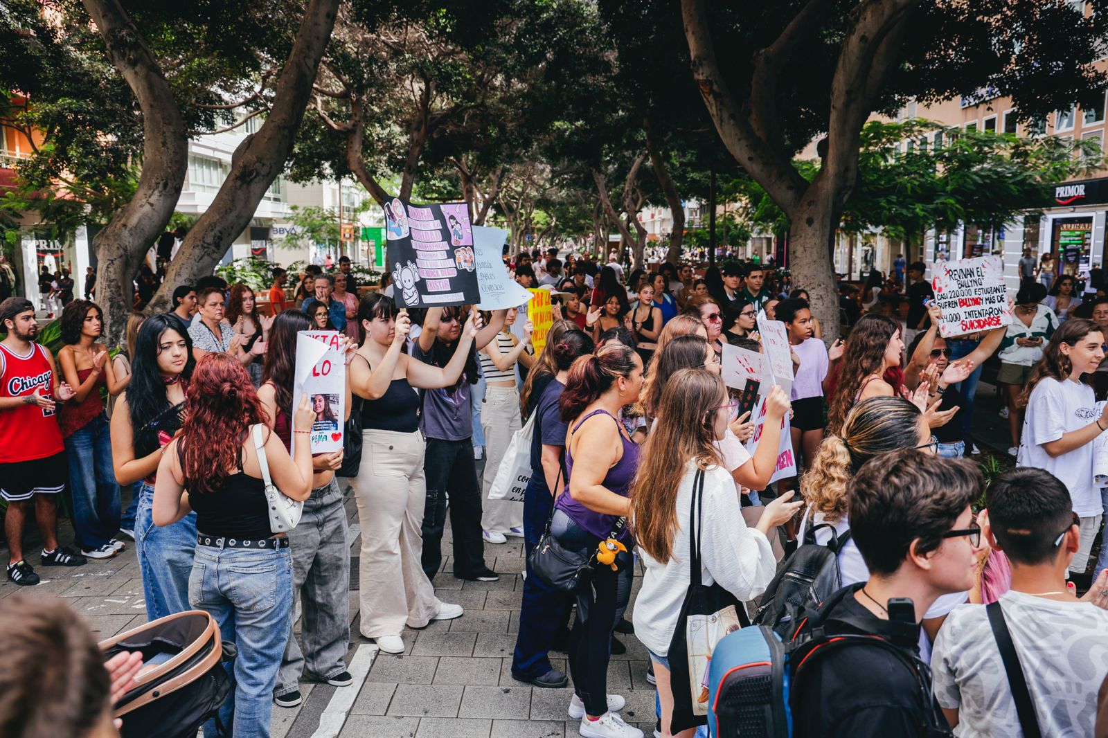 Los estudiantes exigen en la calle protección ante el acoso escolar