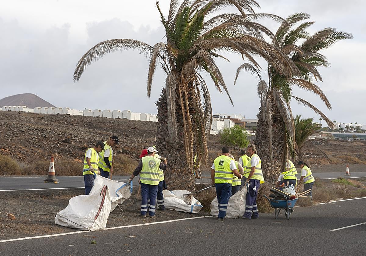 Personal ligado al Cabildo trabajando esta semana entre Arrecife y Costa Teguise.