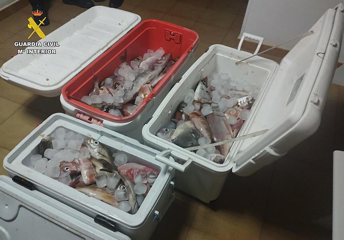 Material incautado por la Guardia Civil.