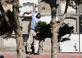 Una persona cambiando las flores a sus seres queridos este viernes en el cementerio de San Lázaro.