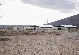 Naves agrícolas de Los Corralillos.