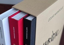 Ejemplares del nuevo libro.