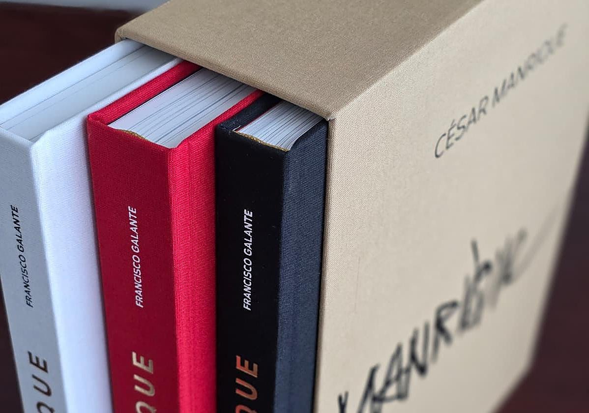 Ejemplares del nuevo libro.