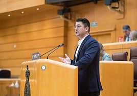 El senador por ASG Fabián Chinea, este miércoles defendiendo la moción del decreto canario en la Cámara Alta.