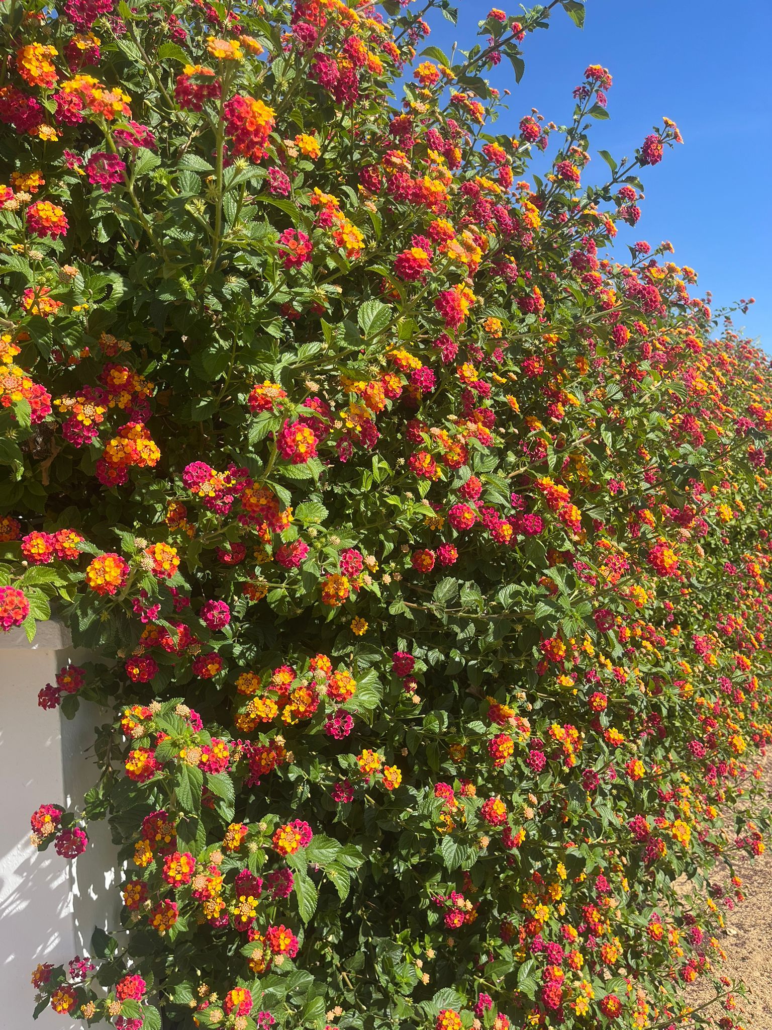 Lo mejor de Alentejo, en imágenes