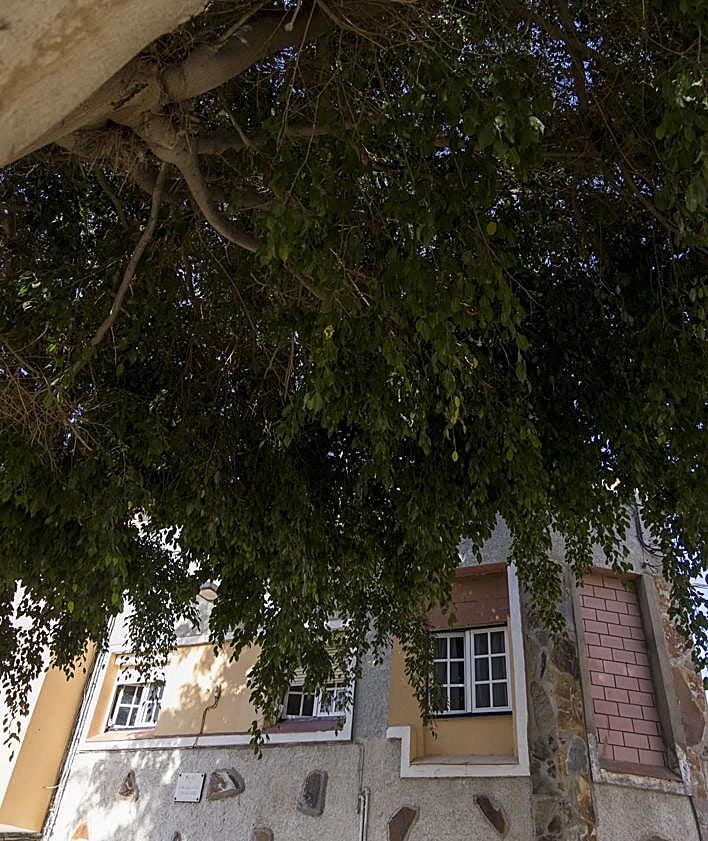 Imagen secundaria 2 - Estado del entorno de la ermita de San Nicolás y el árbol de la plaza de José Casañas, que toca las casas.