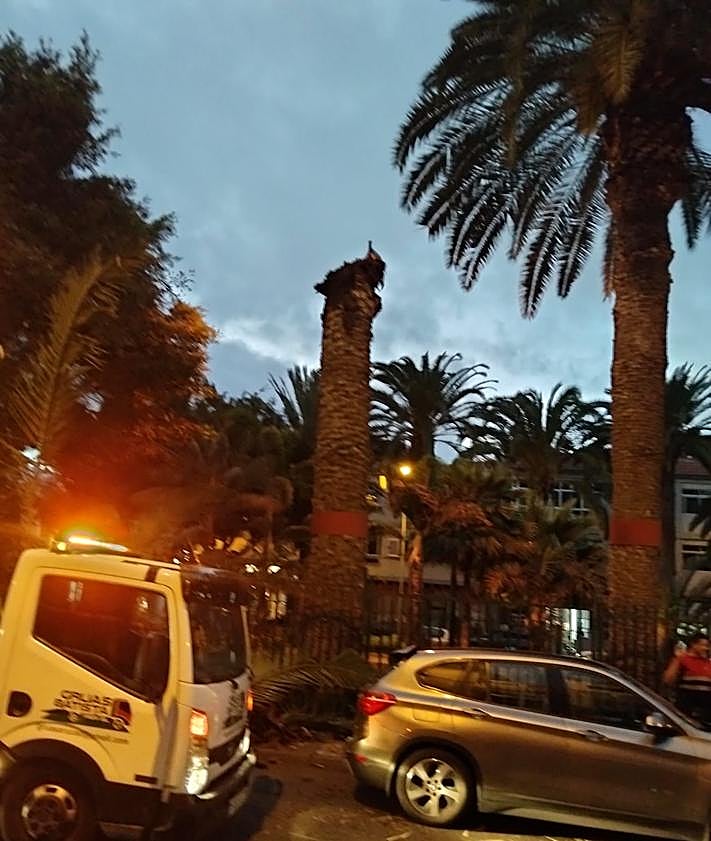 Imagen secundaria 2 - Momentos de la retirada del cogollo caído sobre uno de los coches.