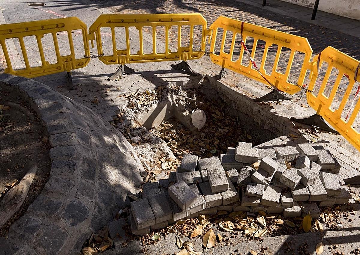 Imagen secundaria 1 - Estado del entorno de la ermita de San Nicolás y el árbol de la plaza de José Casañas, que toca las casas.