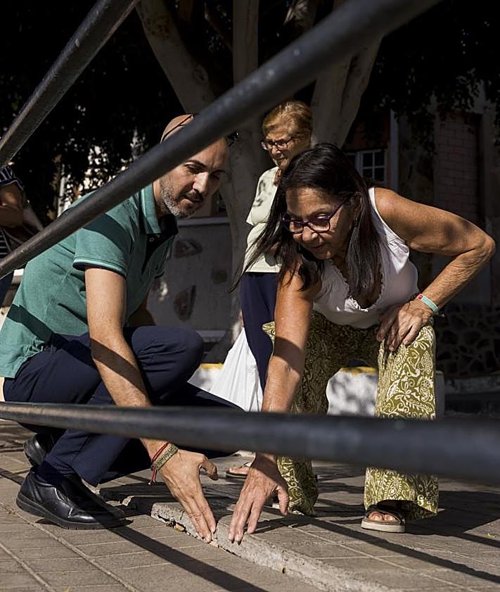 Imagen secundaria 2 - Ejemplares de la plaza de José Casañas y plaza del PIlar. Los vecinos muestran el daño de las raíces en el pavimento.