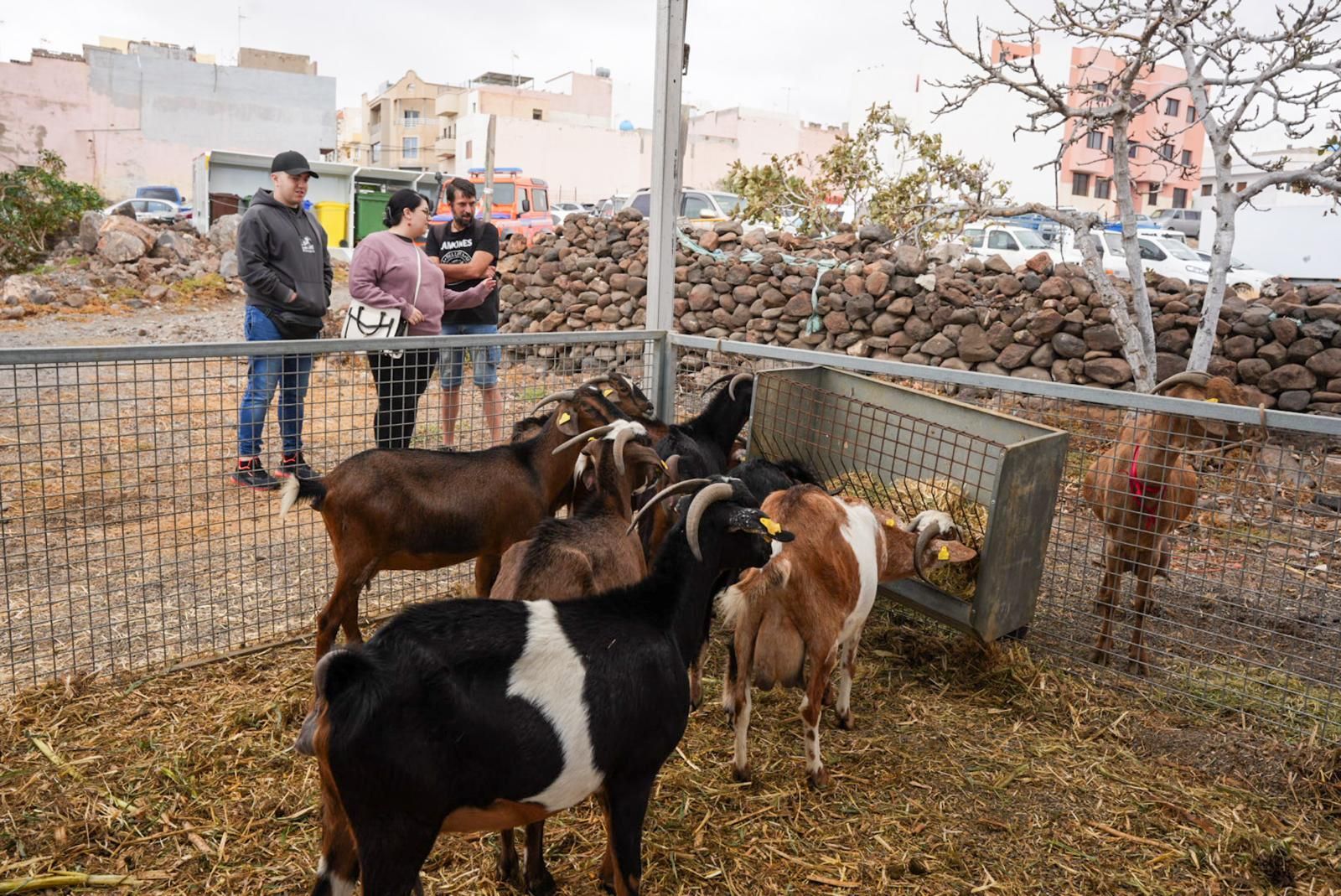 Tercer día de la Feria del Sureste en Carrizal en imágenes