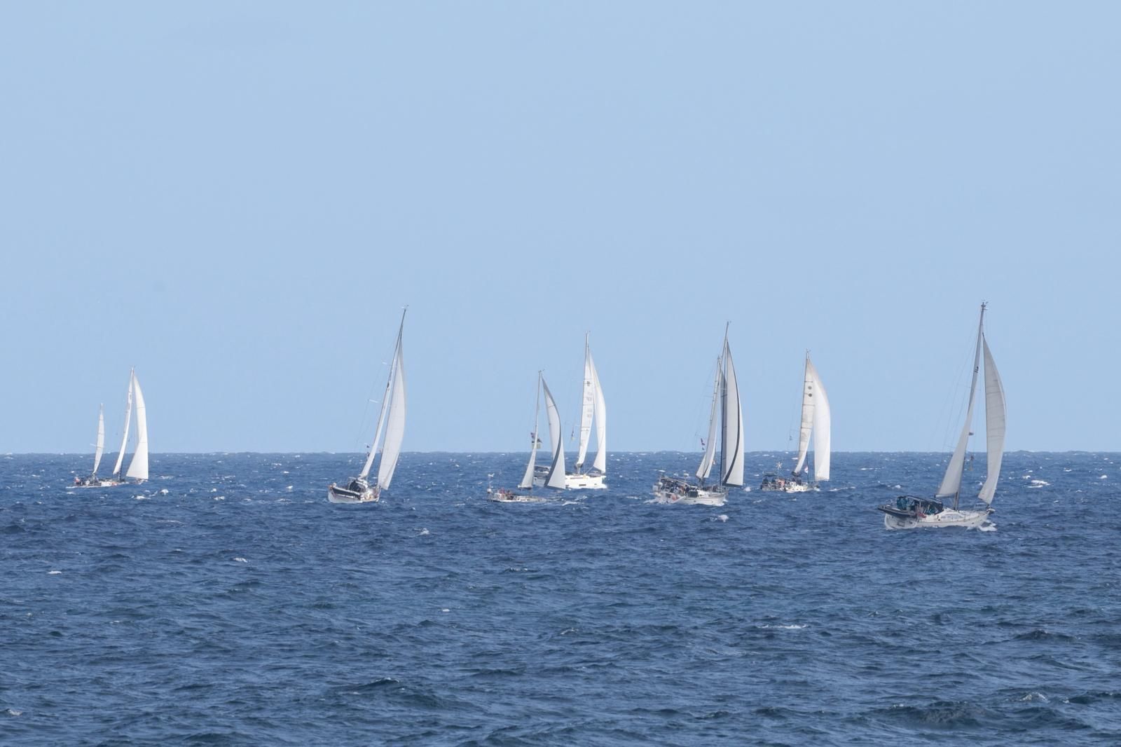 ARC Plus Regata de barcos: Un trampolín de sal hacia el Caribe