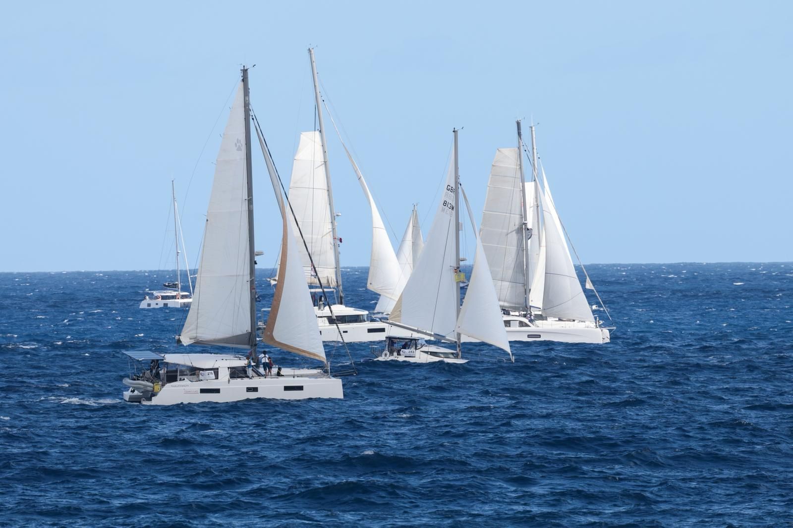 ARC Plus Regata de barcos: Un trampolín de sal hacia el Caribe