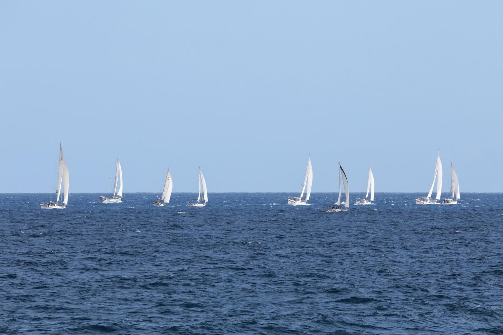 ARC Plus Regata de barcos: Un trampolín de sal hacia el Caribe