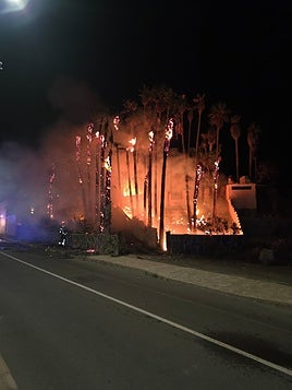 Imagen del grupo de palmeras incendiadas en Mogán.