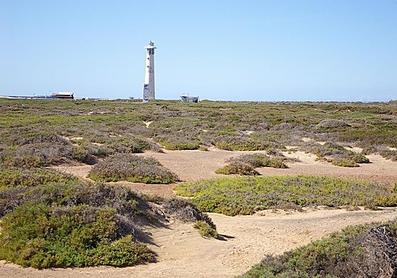 Saladar de Jandía, un sitio de paso de aves migratorias.