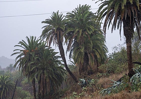 Imagen de la borrasca Claudia pasando por La Palma.