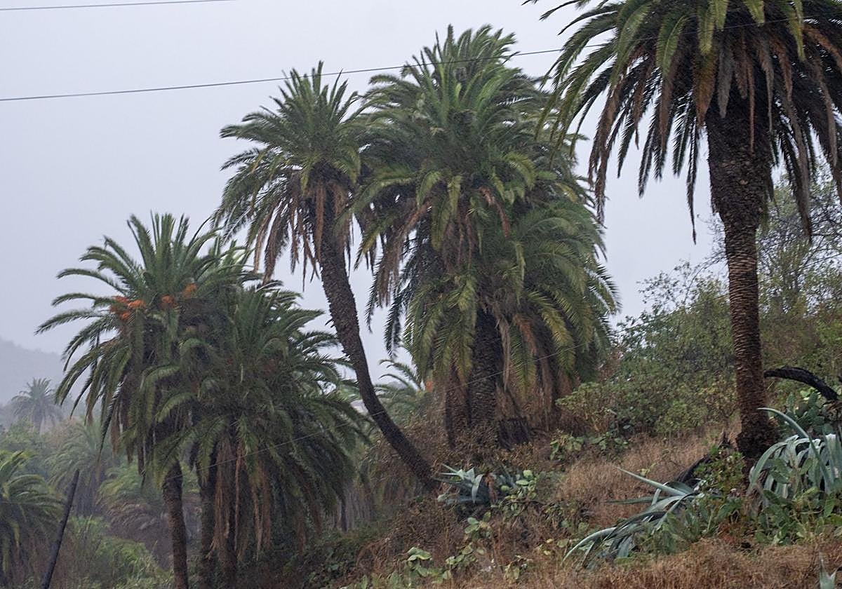 Imagen de la borrasca Claudia pasando por La Palma.