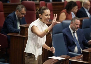 Canarias aprueba la polémica ley que regula la vivienda vacacional