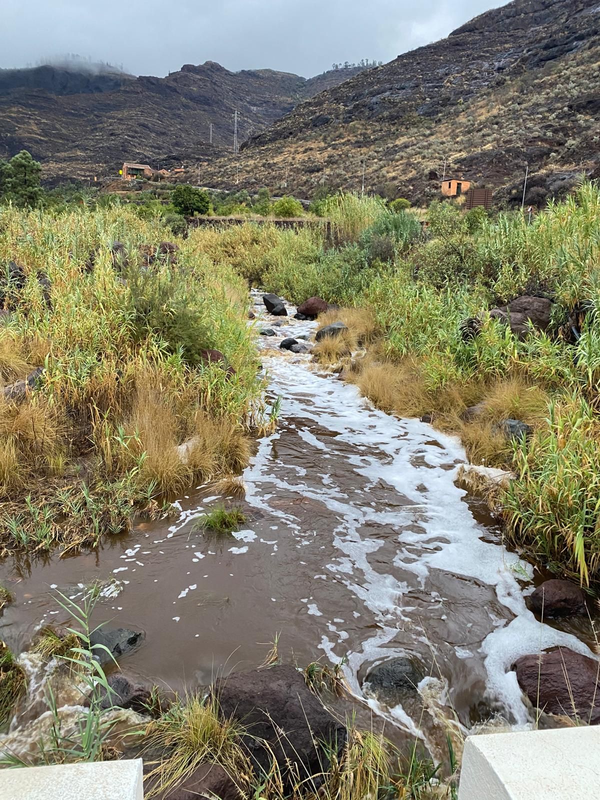 Los estragos de la borrasca Claudia en Canarias