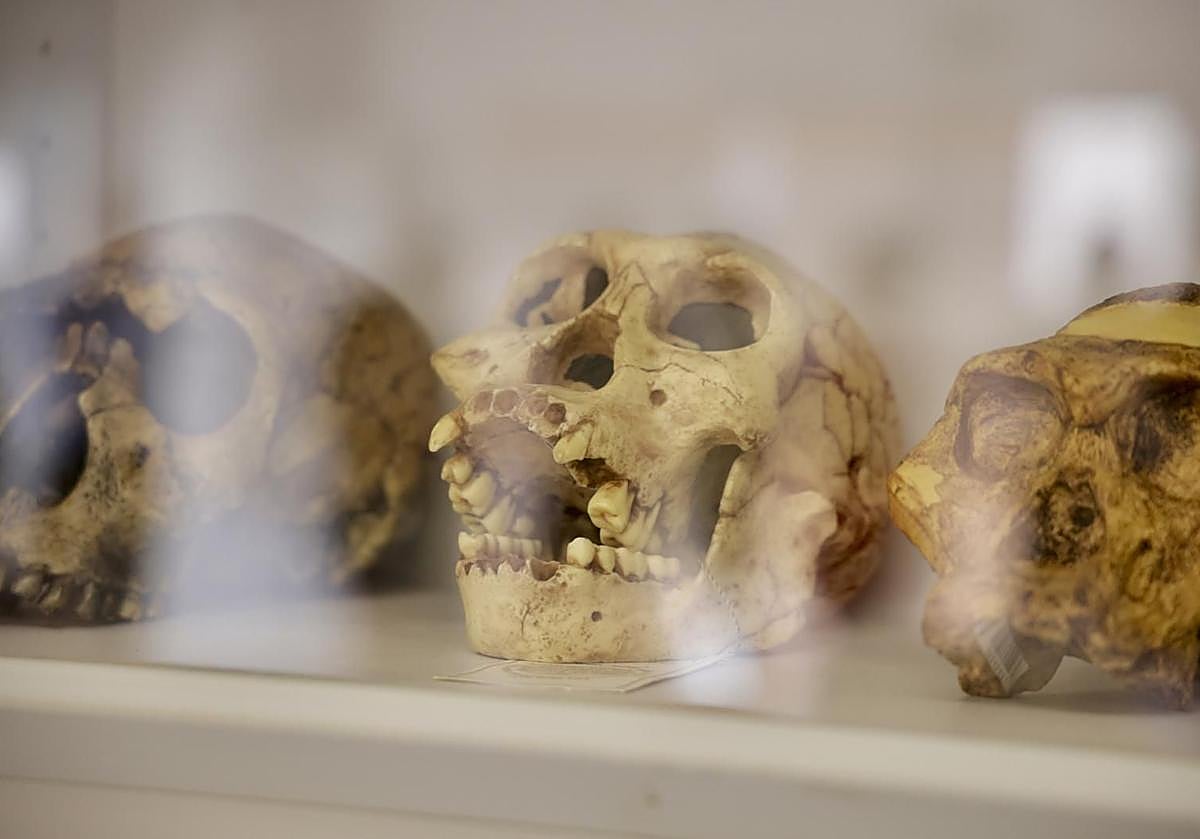 Imagen principal - Diferentes imágenes del laboratorio.