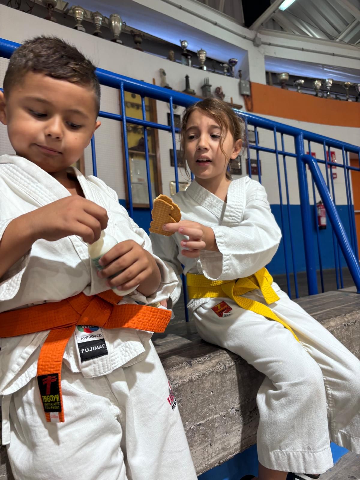 Cuarto torneo navideño del Club Deportivo Seishin