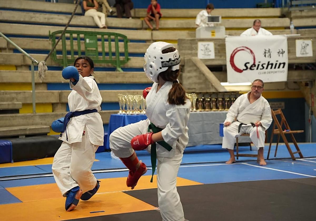 Imagen principal - Espectáculo en La Gallera con el CD Seishin