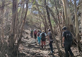 El grupo recorre el interior del barranco de Mascuervo en San Lorenzo.