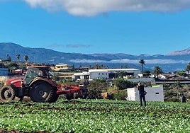 SAT Canarisol consolida su proyecto y asegura su viabilidad tras la aprobación de su plan de reestructuración