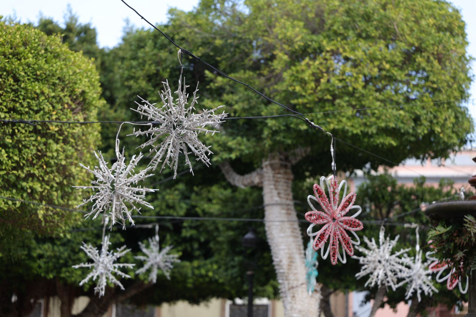 Los preparativos de Gáldar para iluminar la Navidad, en imágenes