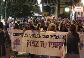 La manifestación del 25N, en imágenes