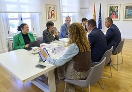 Un momento de la reunión del equipo canario de Obras Públicas, Vivienda y Movilidad con el ministerio.