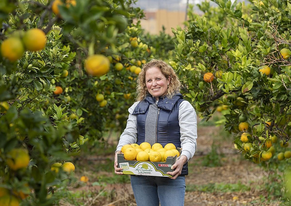 Imagen secundaria 1 - 1. Sección de Charcutería de una de las tiendas de SPAR Gran Canaria. 2. SPAR Gran Canaria refuerza su compromiso con el sector primario mediante convenios con agricultores locales, como el acuerdo de la naranja en Telde. 3. Voluntarios de la Asociación Síndrome de Down colaboran en la Gran Recogida de Alimentos con SPAR Gran Canaria.