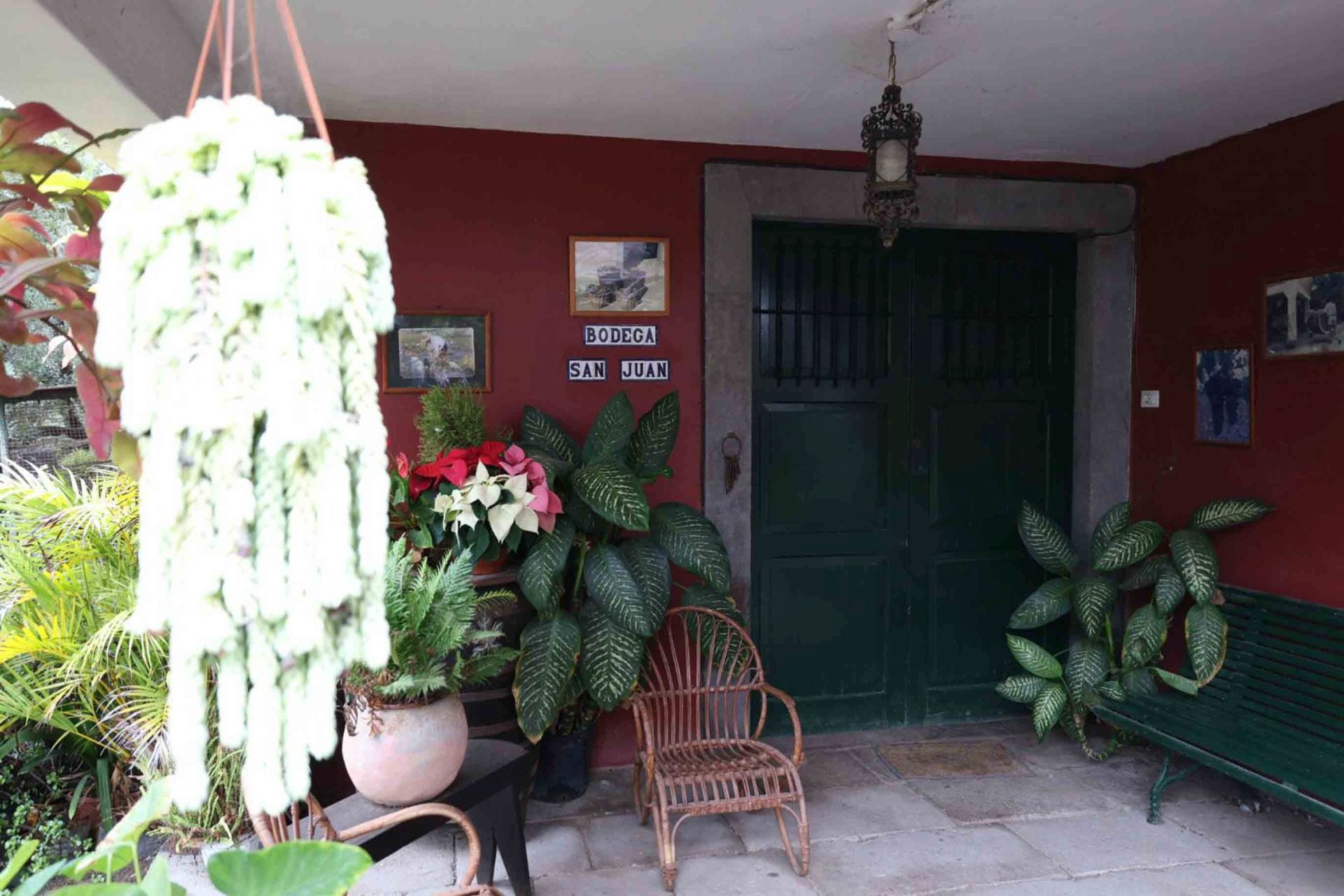 La bodega San Juan acoge la I jornada profesional de vinos de Santa Brígida