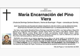 María Encarnación del Pino Viera
