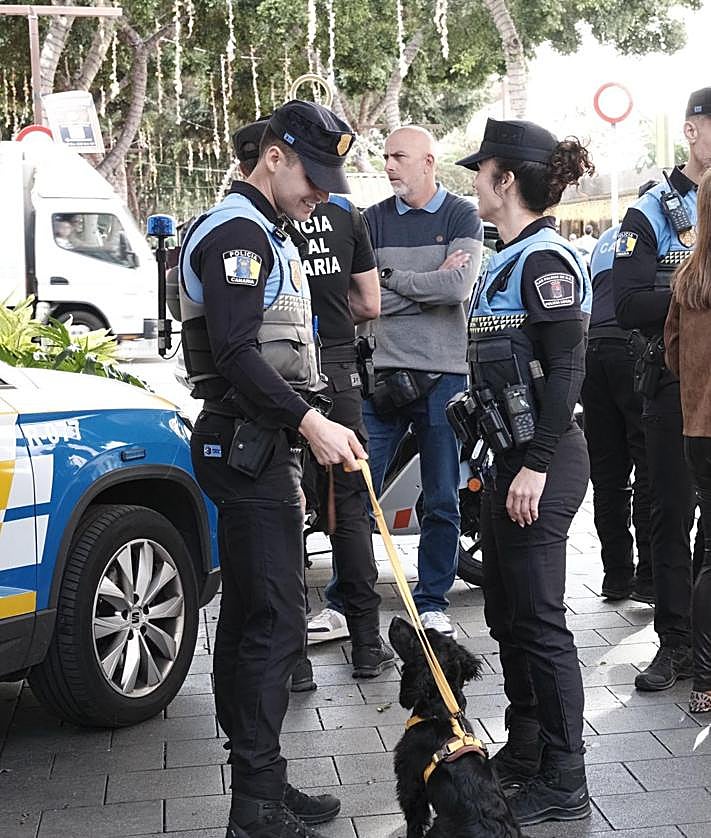 Imagen secundaria 2 - Cortes de calles y cambios de sentido. Así será el dispositivo de tráfico de Las Palmas de Gran Canaria en Navidad