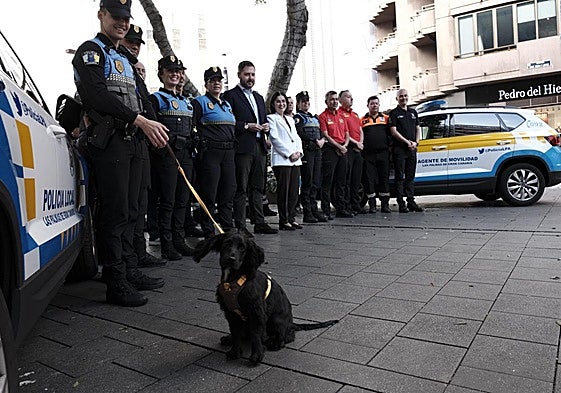 Presentación del dispositivo de tráfico de Navidad 2025.