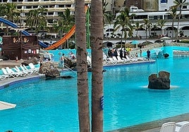 Imagen de efectivos interviniendo en el Lago Taurito.