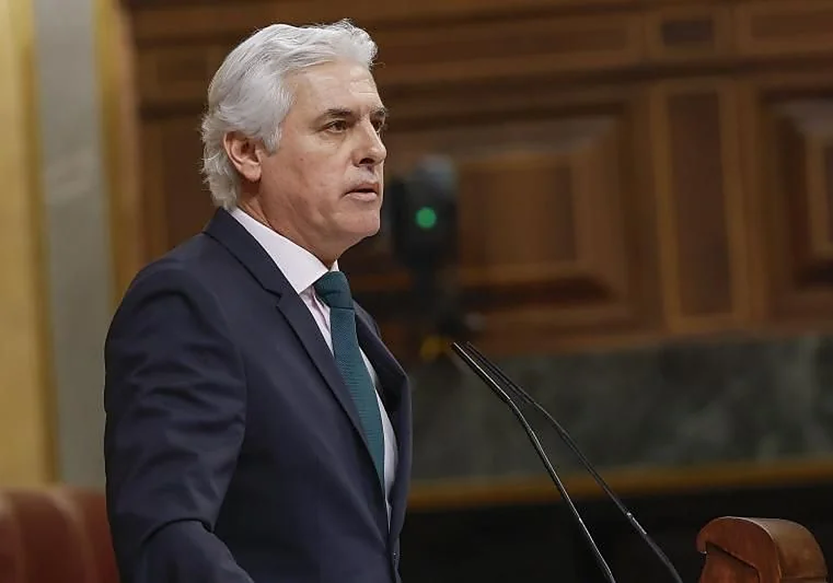 El diputado del PP Carlos Sánchez.