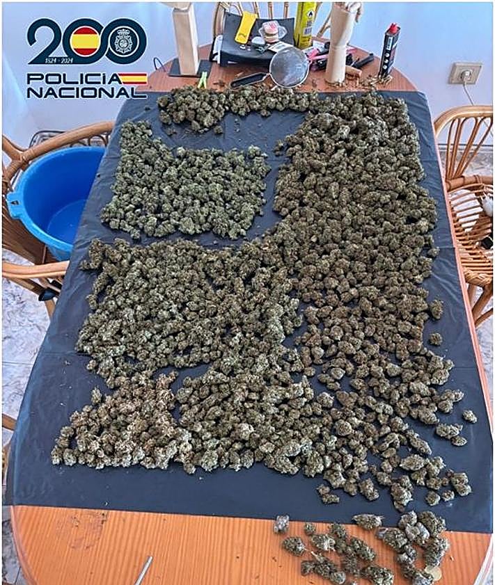 Imagen secundaria 2 - Cae una red de tráfico de drogas en Arrecife con la detención de cuatro implicados