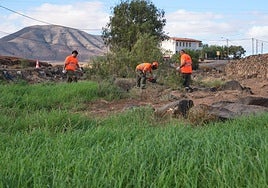 Las cuadrillas de Gesplan limpian el cauce de Río Cabras, a la altura del colegio viejo de Tesjuate.