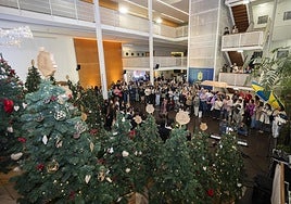 Un momento del acto por la iluminación del Cabildo de Gran Canaria.