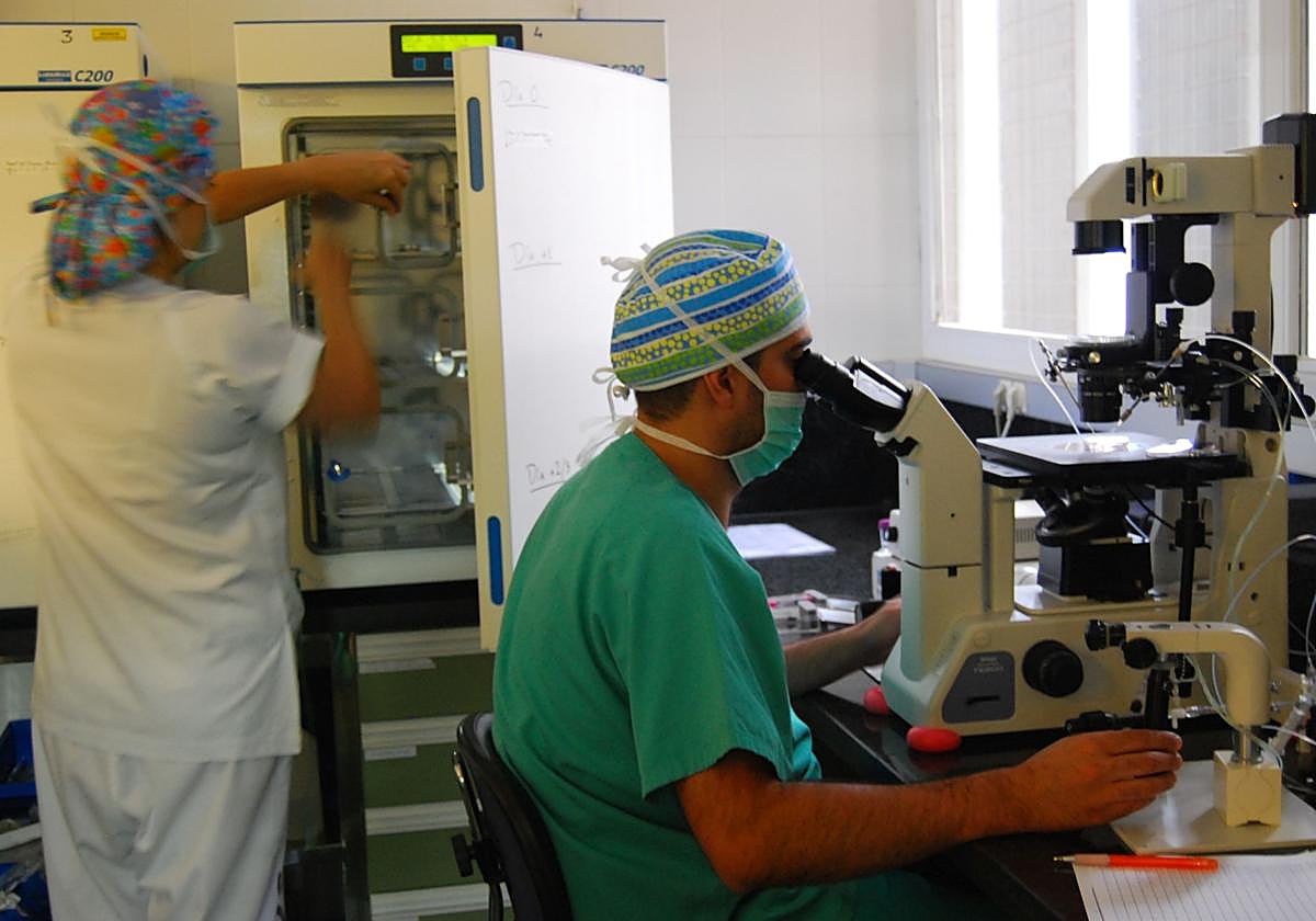 Imagen de un laboratorio de un hospital canario.