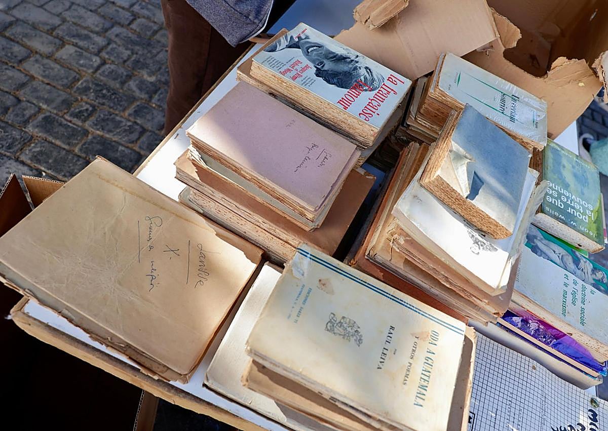 Imagen secundaria 1 - El concejal Leví Ramos durante la primera fase de recuperación y libros encontrados en las cajas.